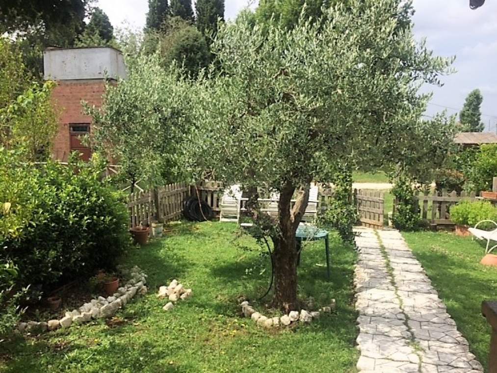 casa450.JPG