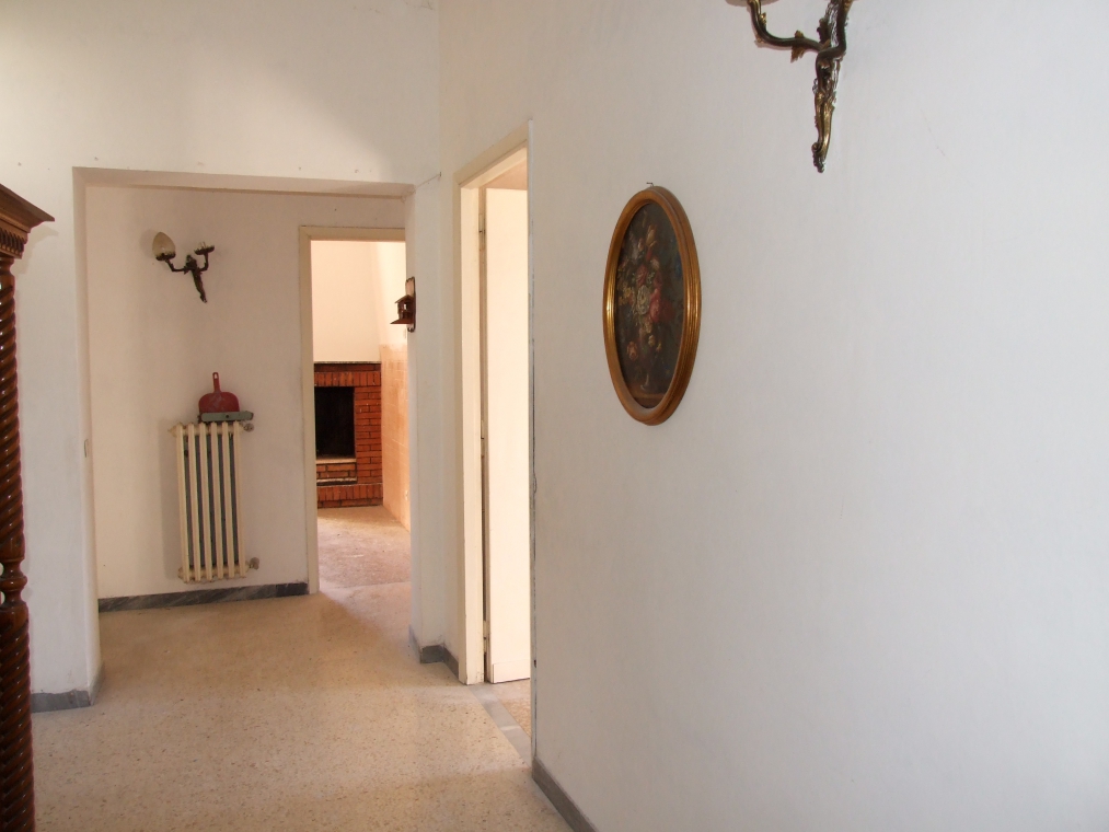 DSCF4070.JPG